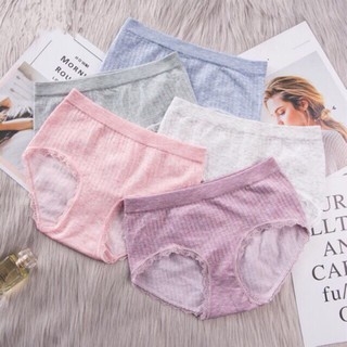 Set 5 Quần Chip Cotton Co Dãn 4 Chiều Nhiều Màu Freesize