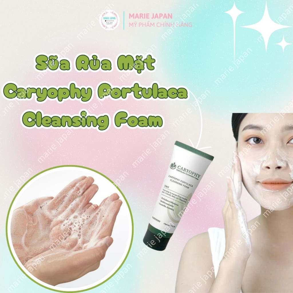 Sữa Rửa Mặt Caryophy Portulaca Cleansing Foam Sạch Sâu Ngăn Ngừa Mụn Kiềm Dầu Hàn Quốc Tuýp 150ml