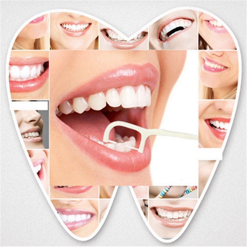 Tăm Chỉ Nha Khoa JONETZ Dạng Bịch 100 Cây Nội Địa Nhật
