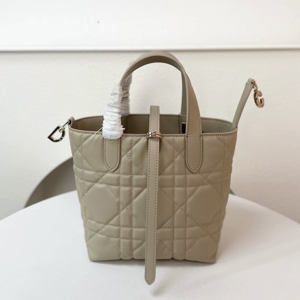 Túi Xách Dior Medium Toujours Remake Hàn Size 16 cm