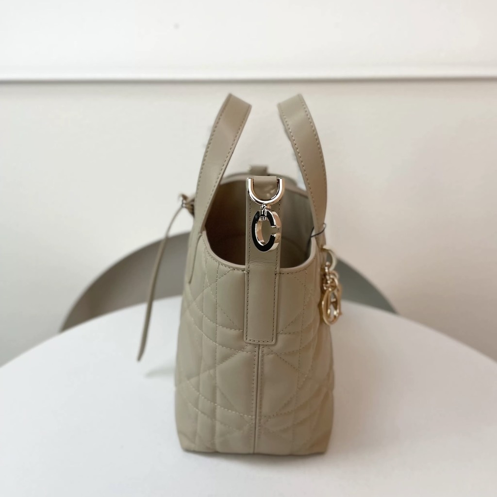 Túi Xách Dior Medium Toujours Remake Hàn Size 16 cm