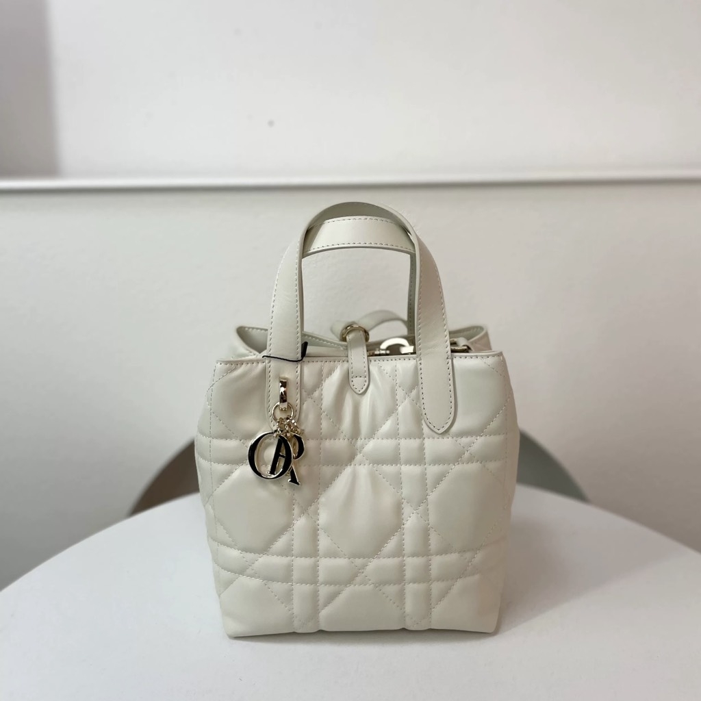 Túi Xách Dior Medium Toujours Remake Hàn Size 16 cm