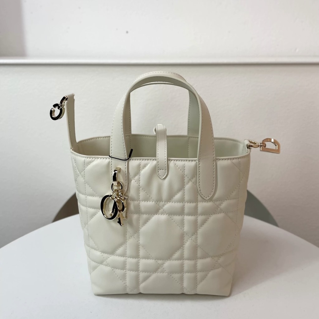 Túi Xách Dior Medium Toujours Remake Hàn Size 16 cm