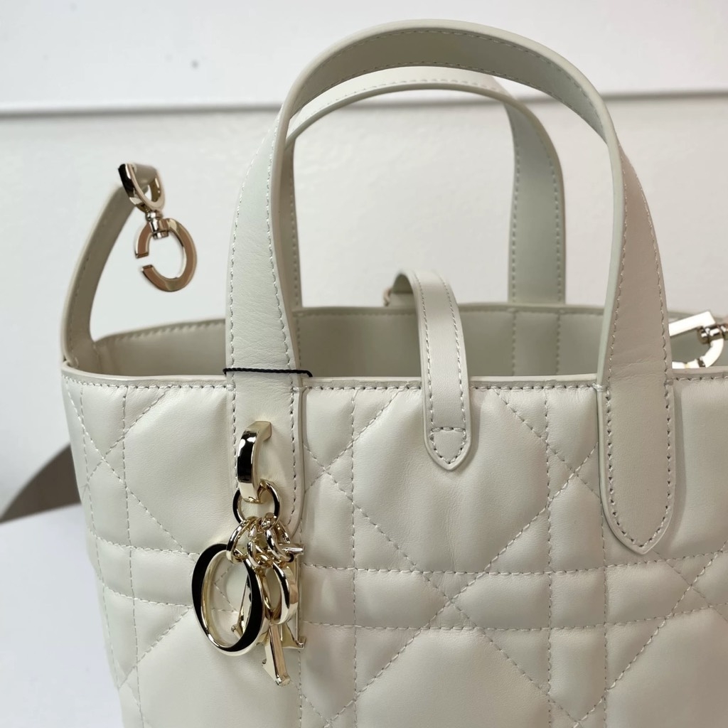 Túi Xách Dior Medium Toujours Remake Hàn Size 16 cm