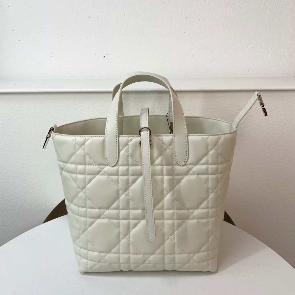 Túi Xách Dior Medium Toujours Remake Hàn Size 16 cm