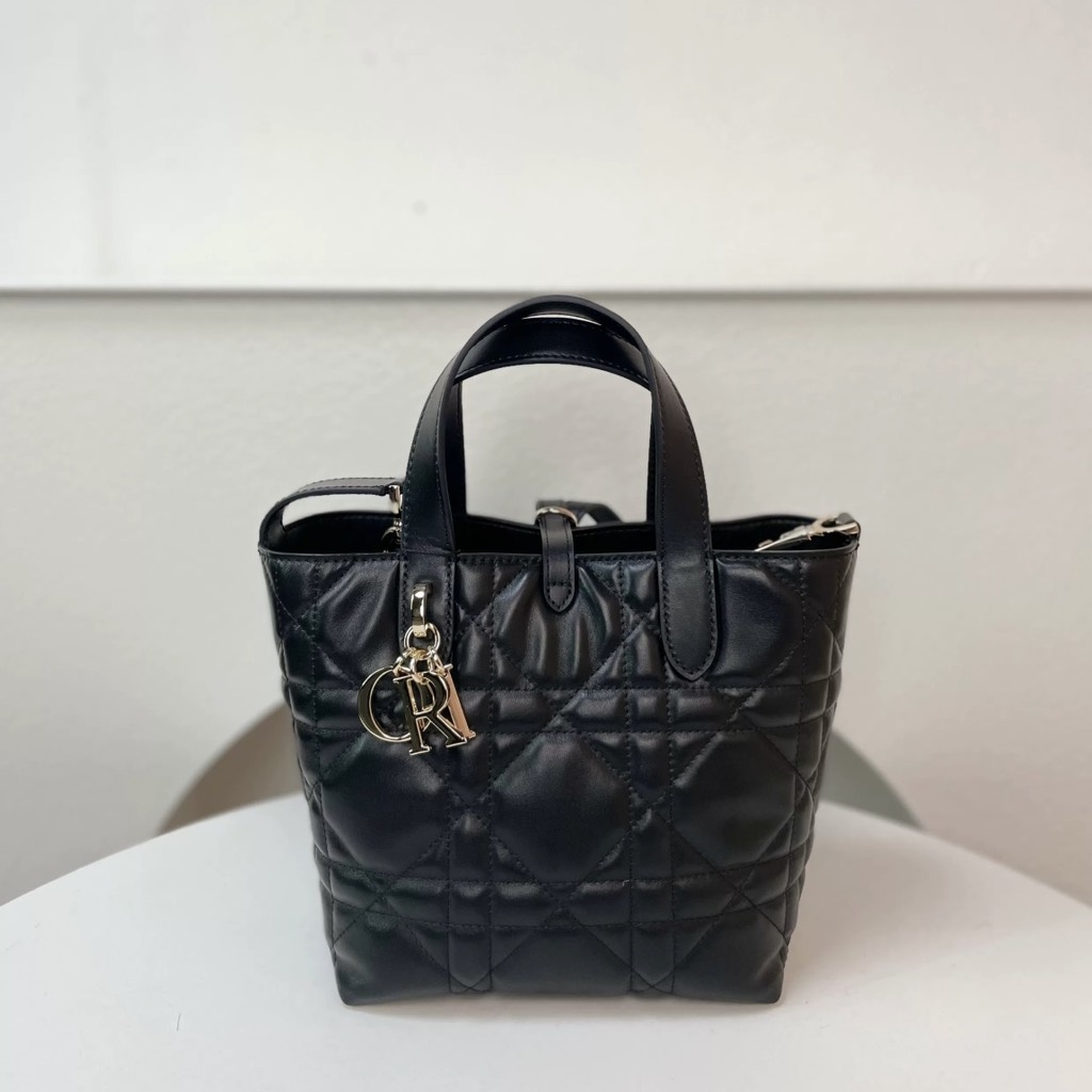 Túi Xách Dior Medium Toujours Remake Hàn Size 16 cm
