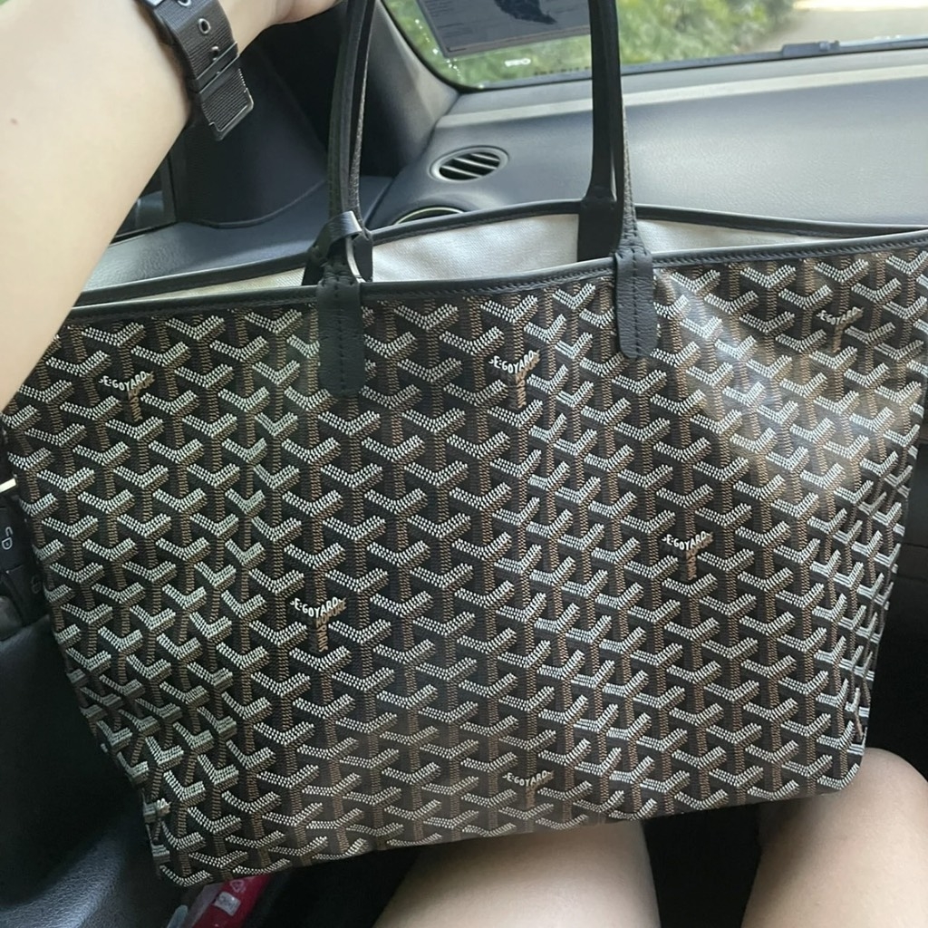 Túi Xách Tay Nữ Goyard Saint Louis PM Bag