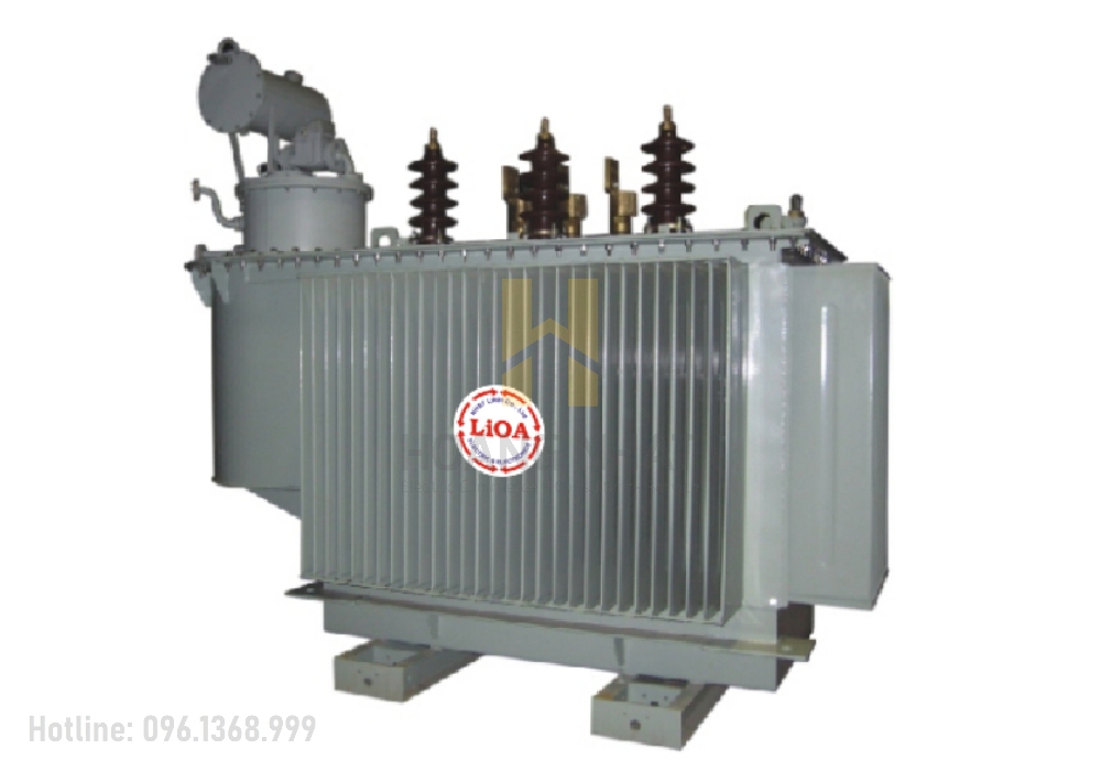 Máy biến áp điện lực ngâm dầu 3P 3D-802-H4NM1Y 800kVA Lioa