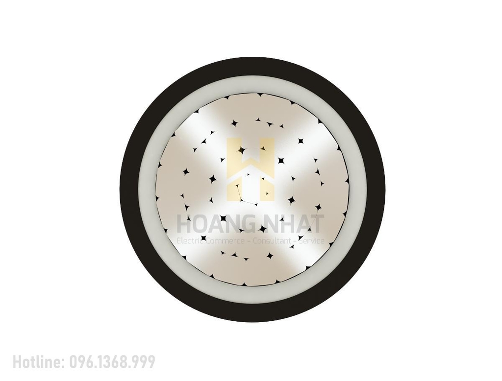 Cáp nhôm 1 lõi bọc cách điện Al/XLPE/PVC 1x10 (0.6/1kV)