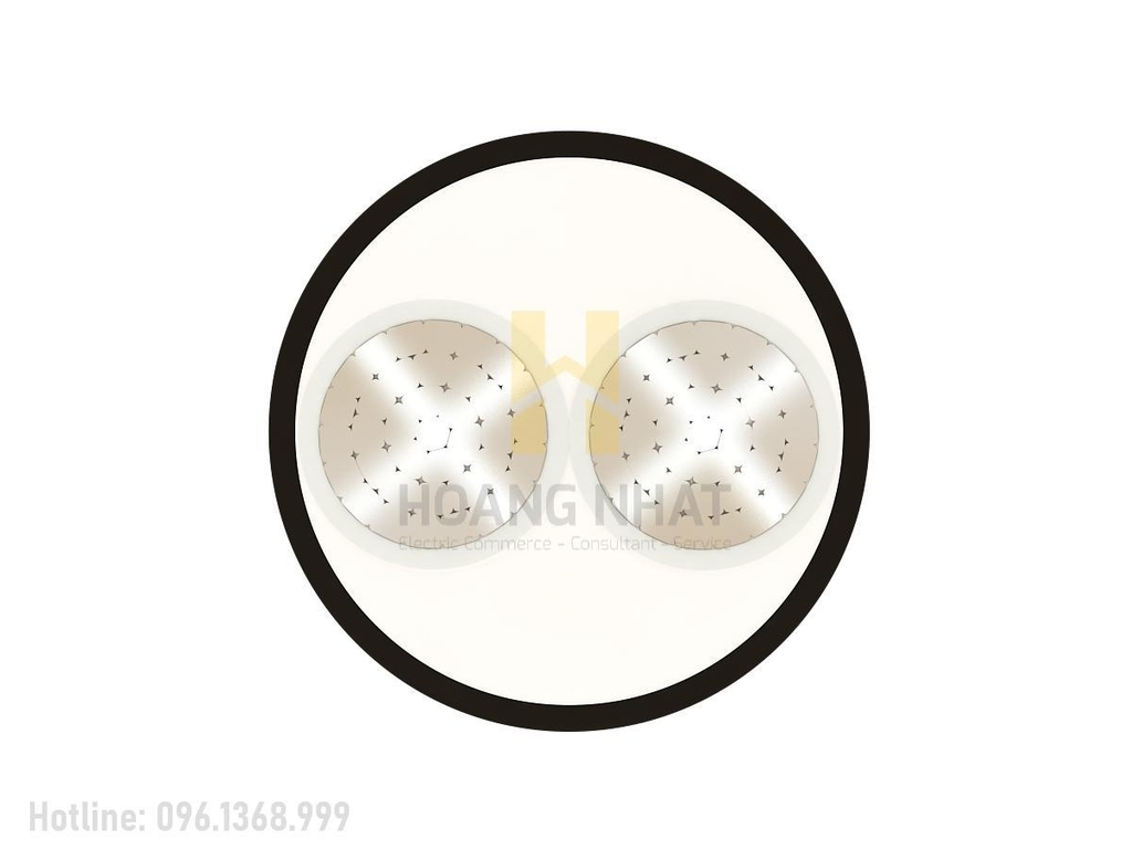 Cáp nhôm 2 lõi bọc cách điện Al/XLPE/PVC 2x16 (0.6/1kV)