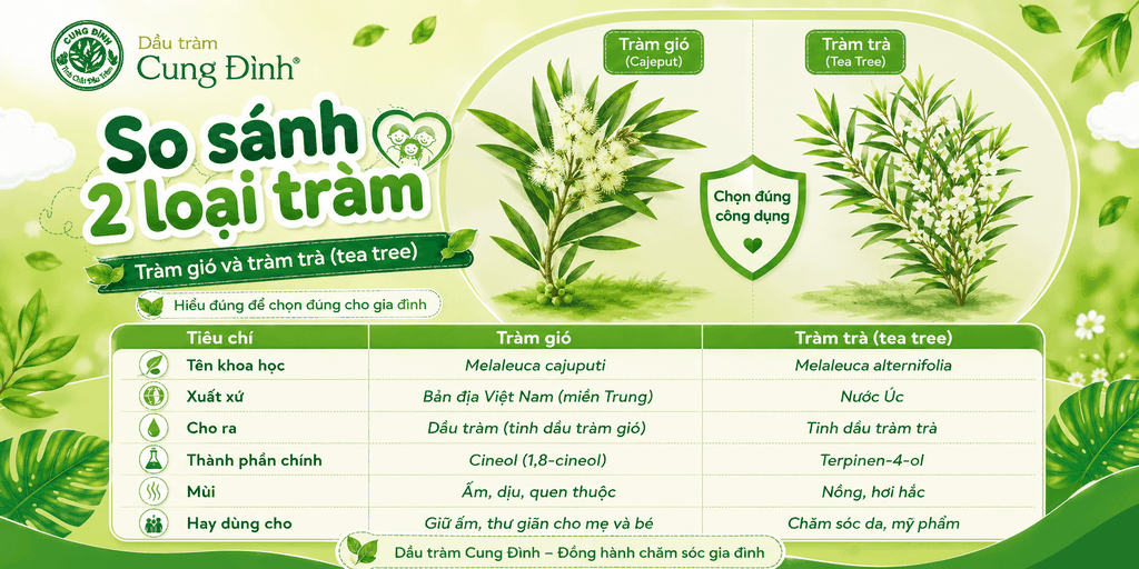 so-sanh-tram-gio-va-tram-tra