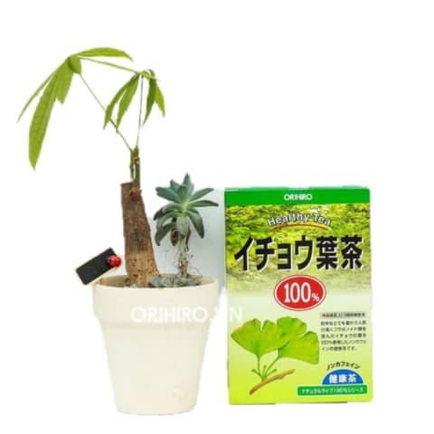 ORIHIRO - Trà Ginkgo Biloba bổ não hỗ trợ trí nhớ 26 gói