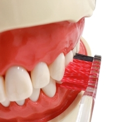 Ebisu - Bàn Chải Vệ Sinh Kẽ Răng Ebisu BK-122