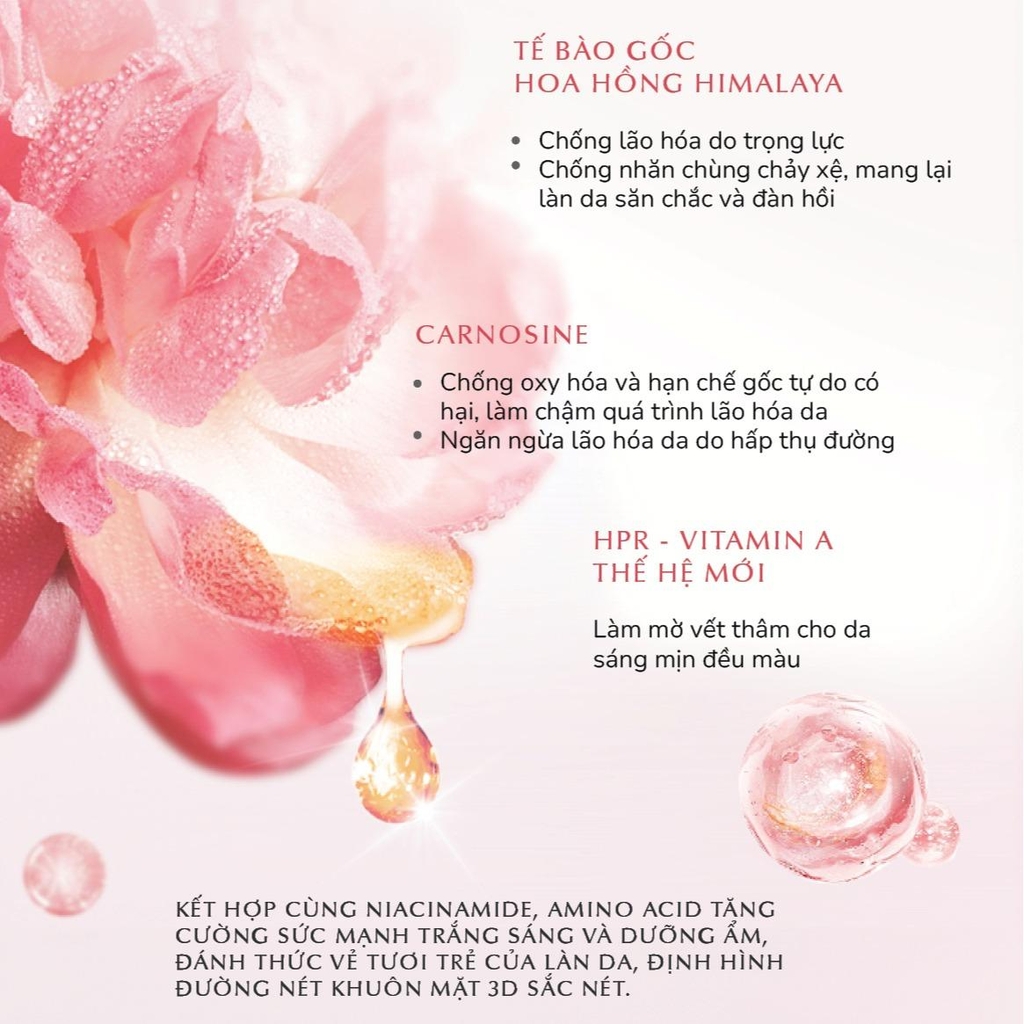 Chando Himalaya - Kem Dưỡng Da Hirosetech Màu Hồng Tinh Tế
