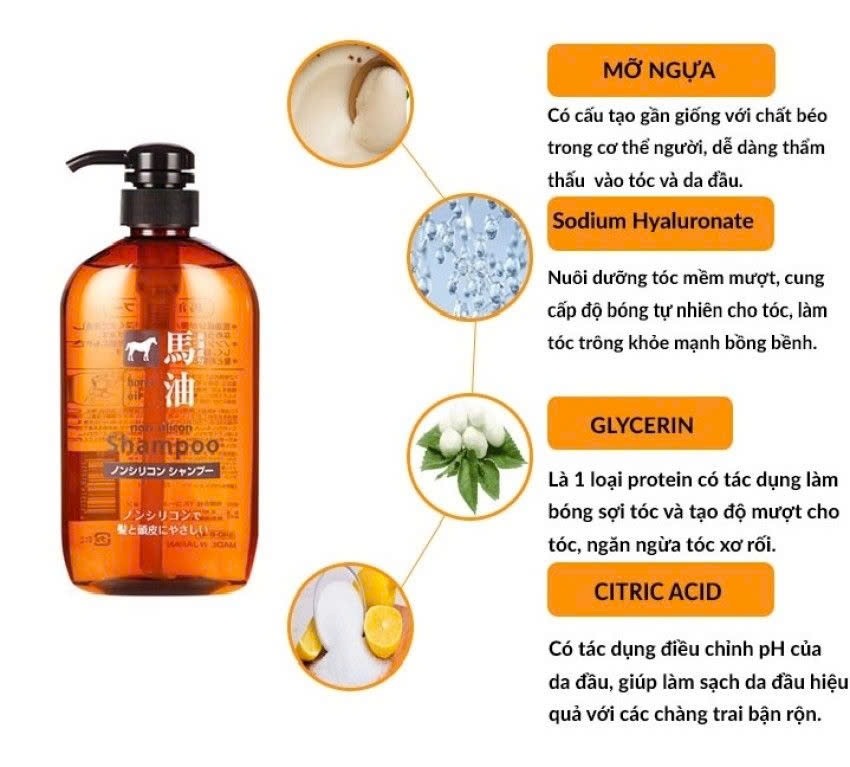 Kumano - Dầu Gội Chiết Xuất Từ Dầu Ngựa Kumano Horse Oil 600ml (Non-Silicon)