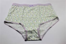 Quần lót nữ cao cấp size L ( dáng rộng, mẫu 2)- Hàng Nhật nội địa