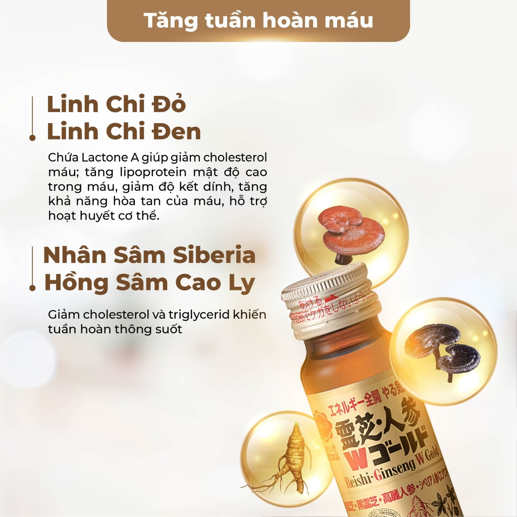Menard_Nước Sâm Linh Chi Reishi Ginseng Phục Hồi Thể Lực Tăng Đề Kháng (10 Chai x 50ml)