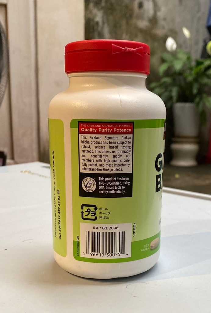 114 Viên uống bổ não ginkgo biloba Kirkland