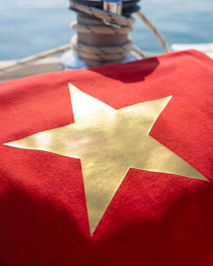 Áo Thun - Sao Vàng In Nhũ Vàng Gold