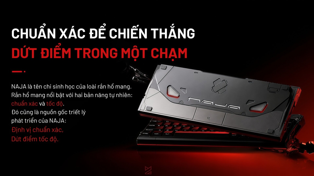 NAJA68 - Bàn phím Hall Effect 65% cao cấp (Pre-order)