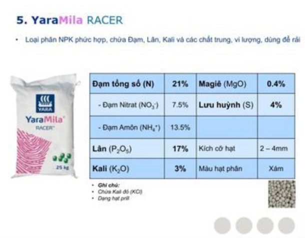 YaraLiva Racer