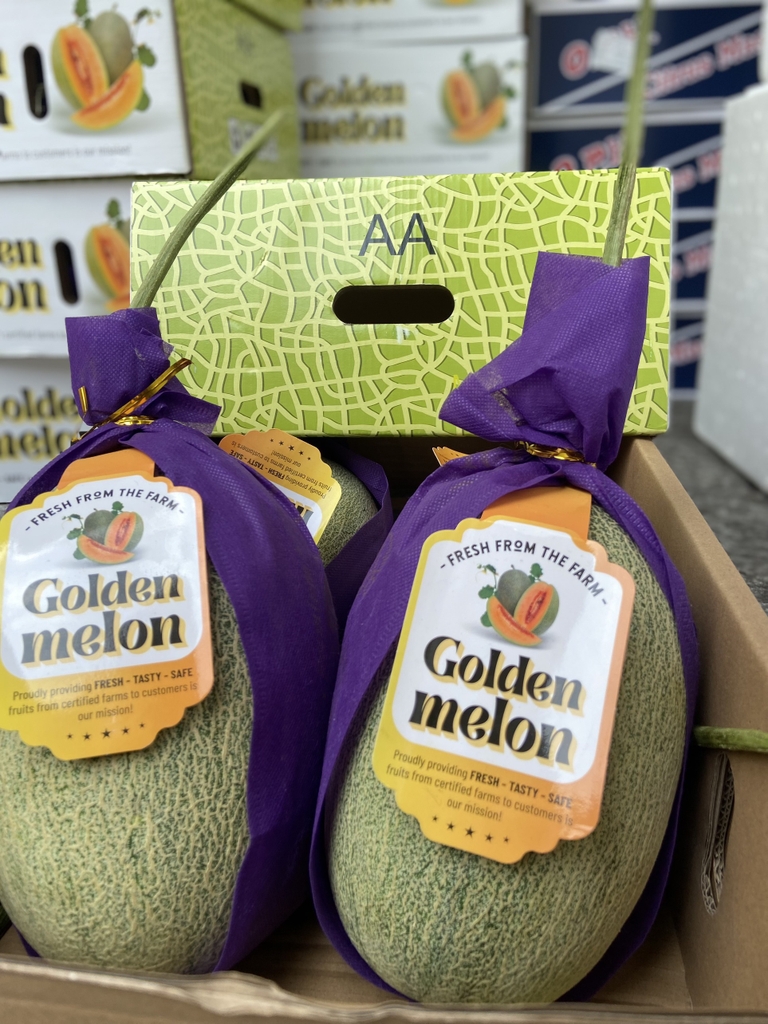 Dưa lưới Golden