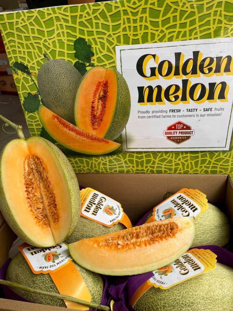 Dưa lưới Golden