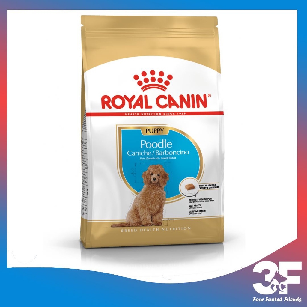 H t D nh Cho Ch Poolde Puppy Royal Canin Poodle Junior 3F Store