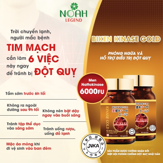 Thực phẩm bảo vệ sức khỏe BIKEN KINASE GOLD