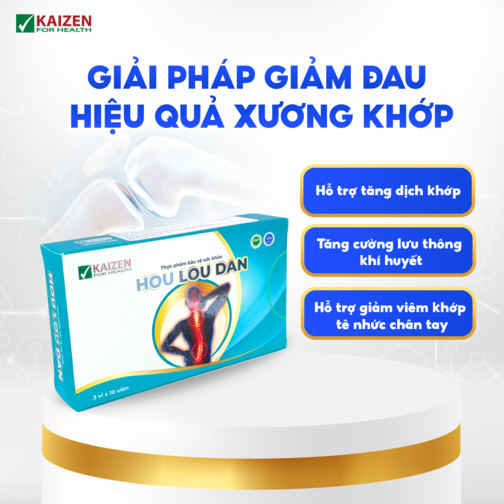 Thực phẩm bảo vệ sức khỏe Hou Lou Dan