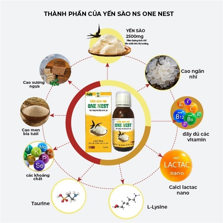 Thực phẩm bảo vệ sức khỏe Yến Sào NS One Nest Gold