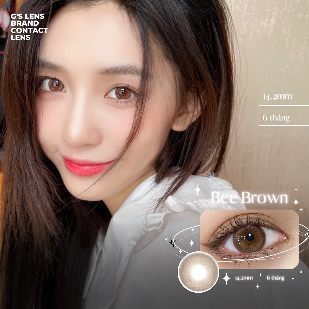 Kính áp tròng 6 tháng BEE BROWN màu nâu tự nhiên giãn tròng nhỏ GTRENDY - AL Color 38
