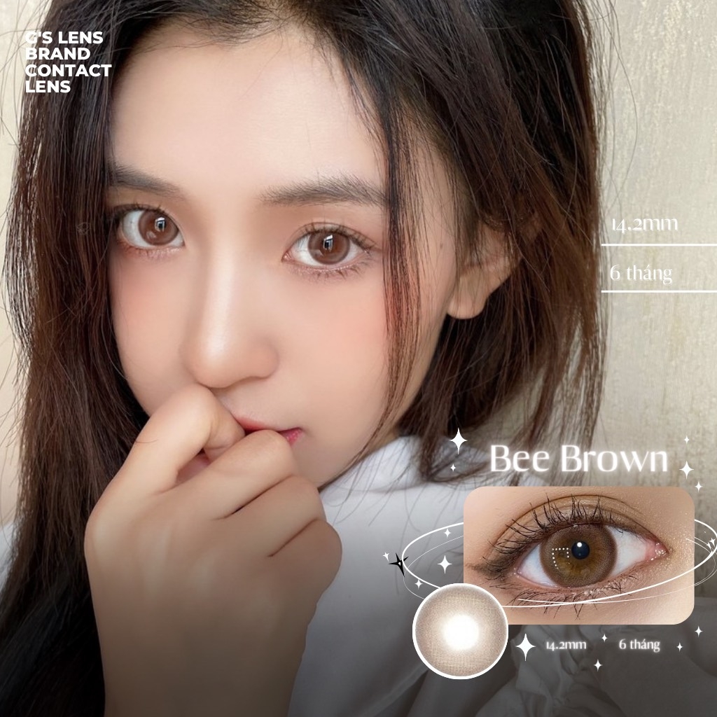 Kính áp tròng 6 tháng BEE BROWN màu nâu tự nhiên giãn tròng nhỏ GTRENDY - AL Color 38