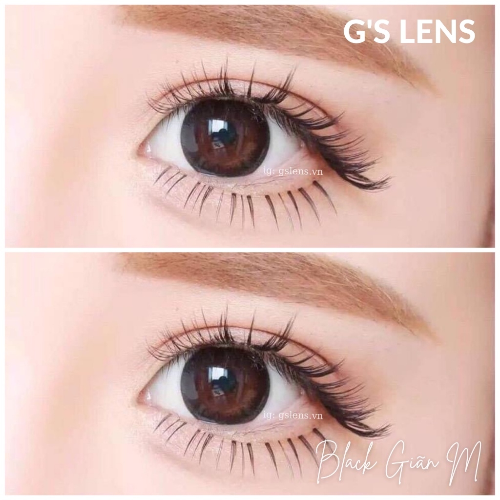 Lens Mắt Đen Trơn Size M Giãn Vừa 14.5mm Có 0 Đến 8 Độ