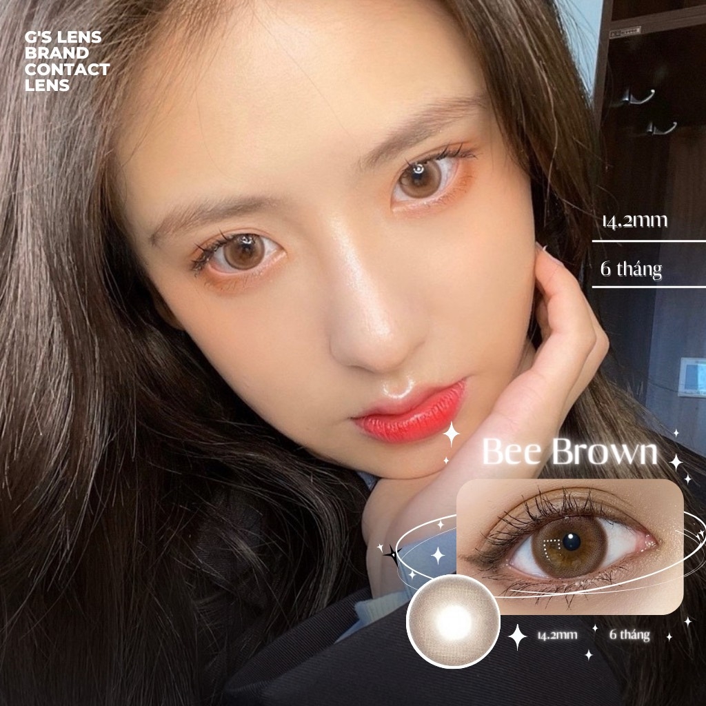 Kính áp tròng 6 tháng BEE BROWN màu nâu tự nhiên giãn tròng nhỏ GTRENDY - AL Color 38