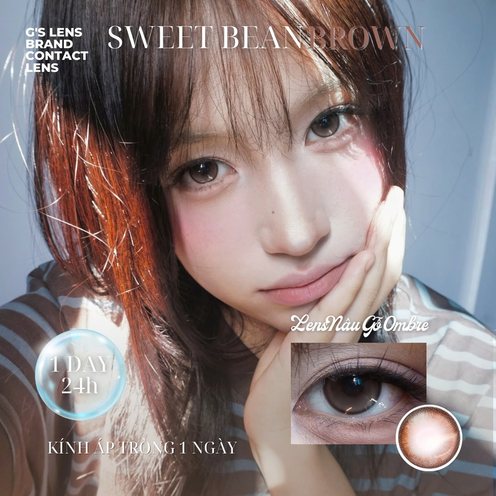 Kính áp tròng 1 ngày SWEET BREAN BROWN màu nâu tự nhiên giãn tròng nhỏ GTRENDY