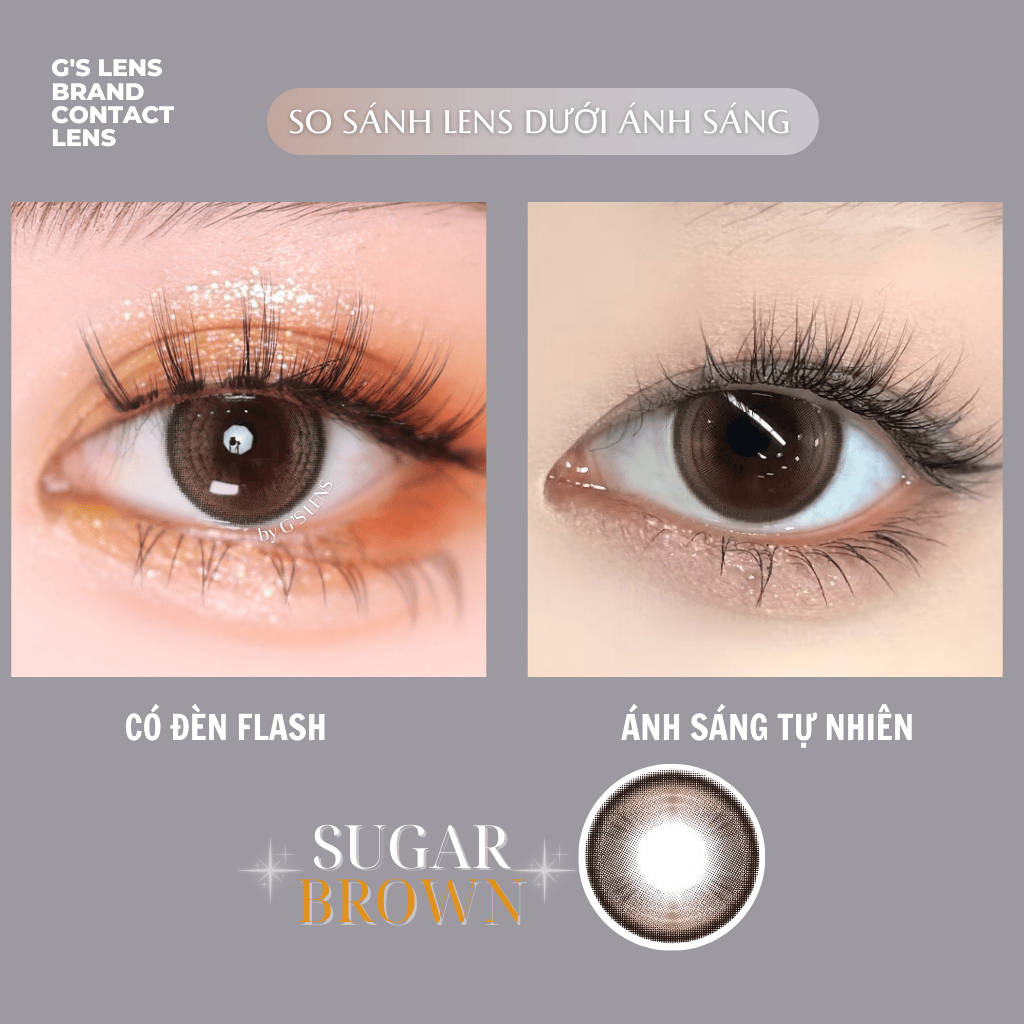 Kính áp tròng 6 tháng SUGAR BROWN màu nâu tự nhiên giãn tròng nhỏ GTRENDY - MC38