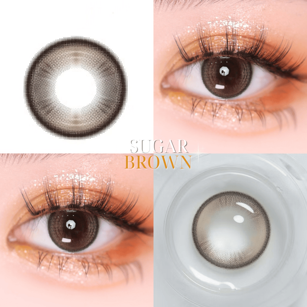 Kính áp tròng 6 tháng SUGAR BROWN màu nâu tự nhiên giãn tròng nhỏ GTRENDY - MC38
