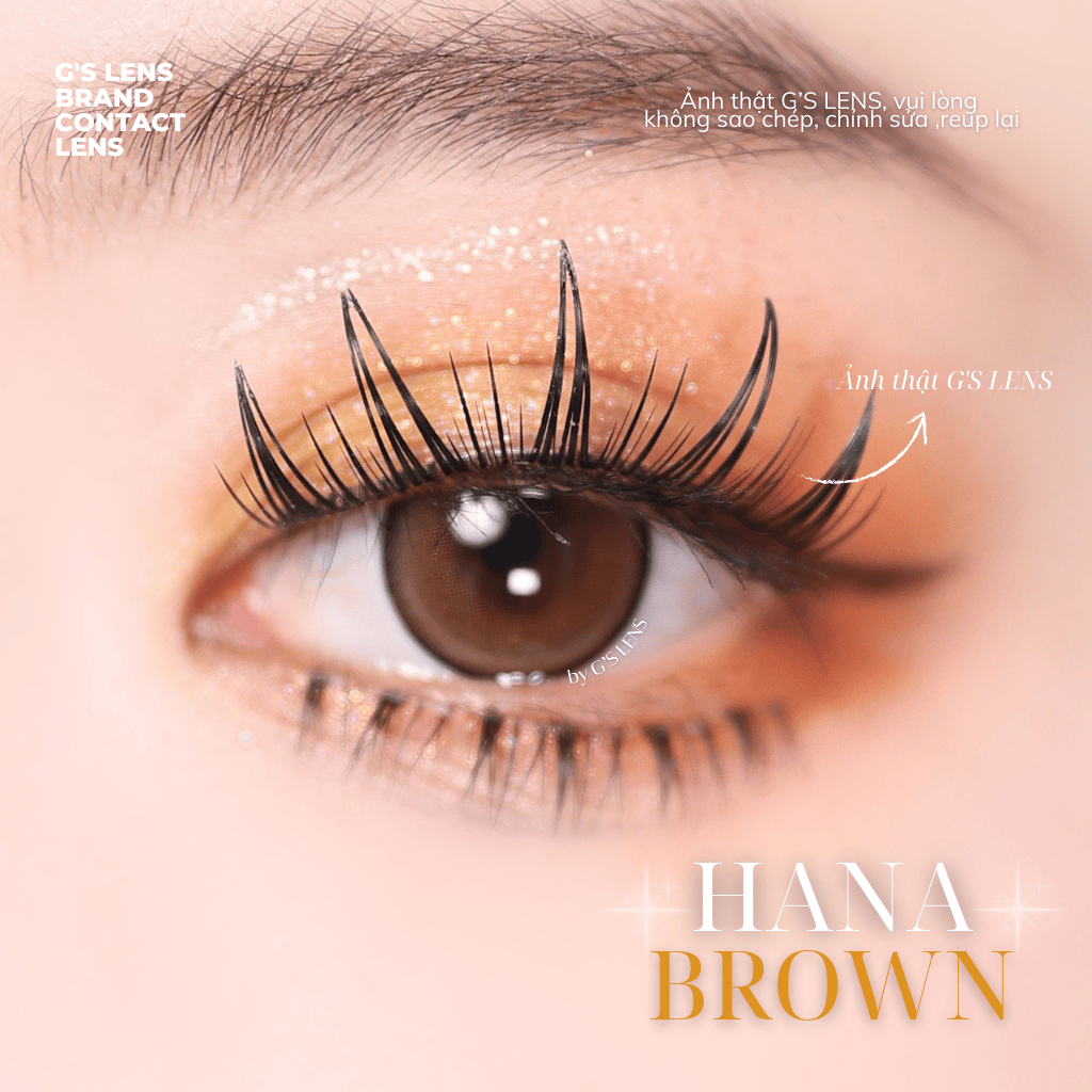 Kính áp tròng 6 tháng HANA BROWN màu nâu trầm tự nhiên giãn tròng vừa GTRENDY -