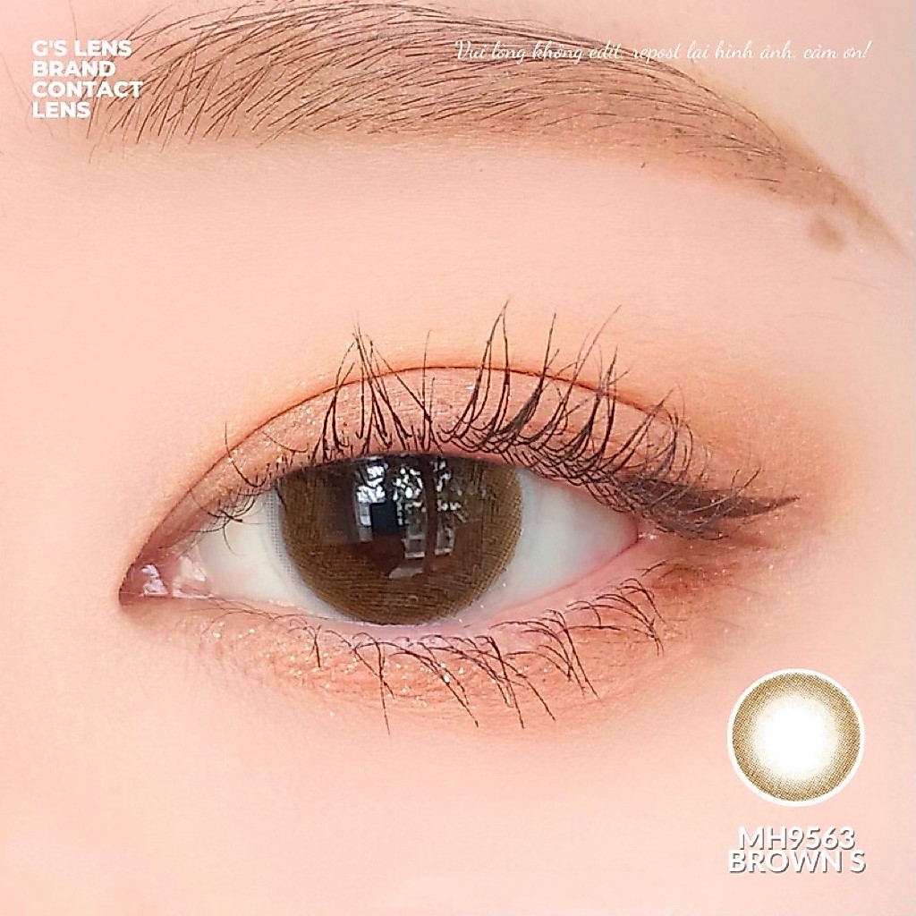Kính áp tròng 6 tháng BROWN MINI màu nâu tự nhiên giãn tròng nhỏ GTRENDY - AL Color 38