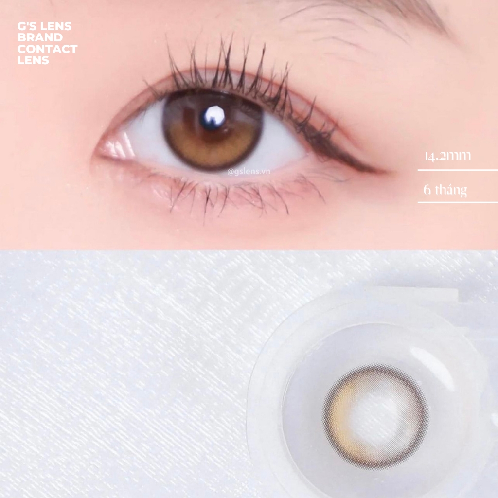 Lens mắt nâu Sunset tự nhiên KRIS BROWN Size S có 0-8 lệch độ dành cho mắt nhạy cảm G'S LENS PLUS+ Polyhema Cao Cấp