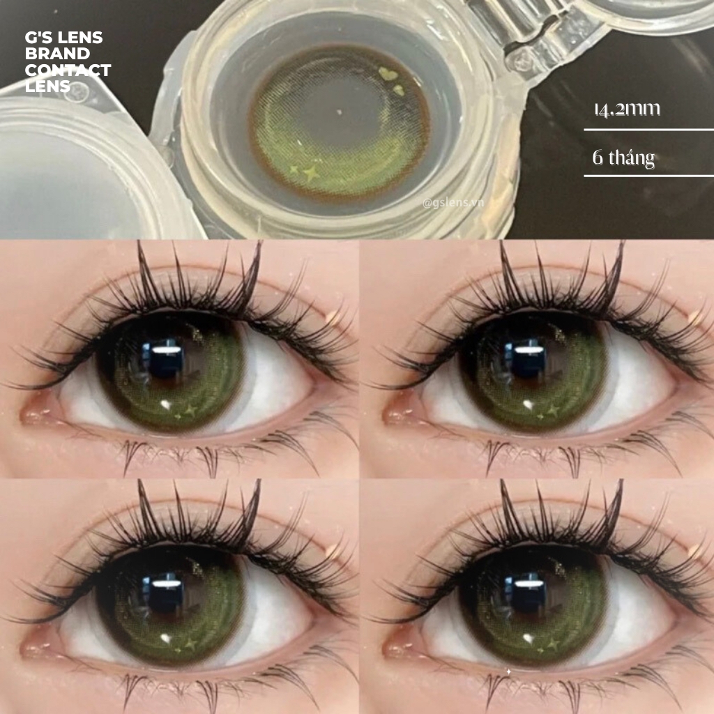 Lens Mắt Kính Áp Tròng Xanh Rêu Sáng Tây VIVI GREEN Giãn Ít Có Từ 0 Đến 6 Độ Lệch Độ Size S 14.2mm - GSLENS