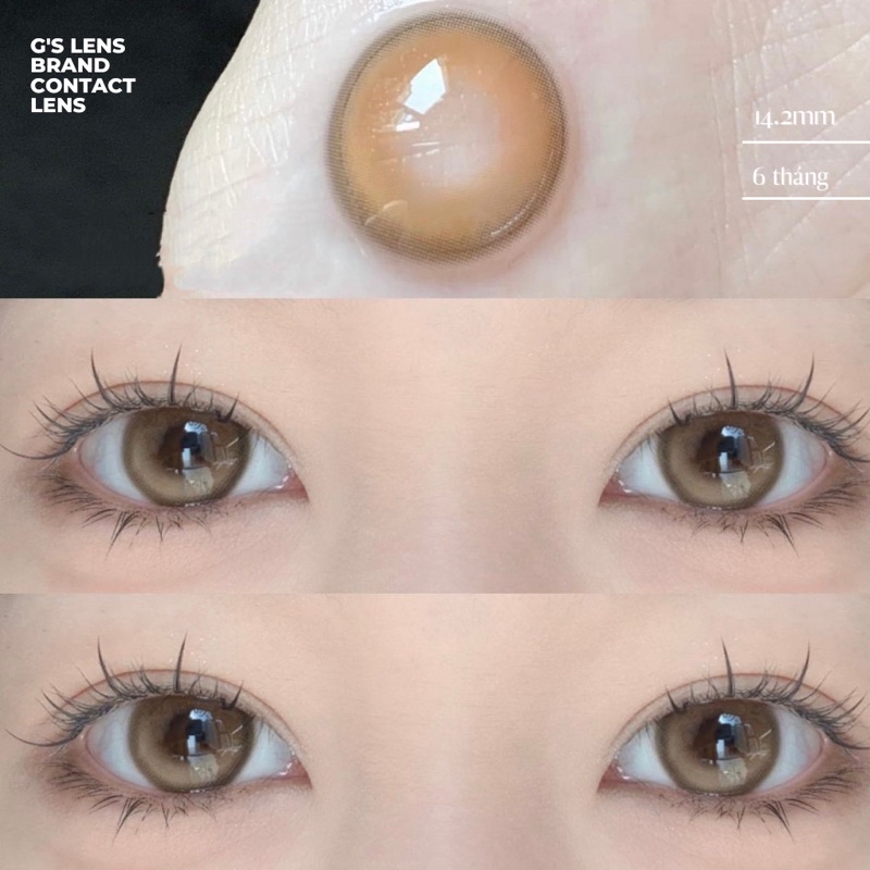 Kính áp tròng 6 tháng MOON BROWN màu nâu sáng tây giãn tròng vừa GTRENDY - MC38