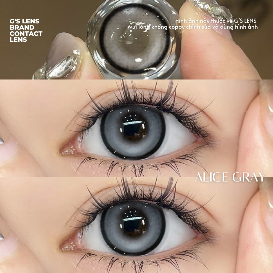 Kính áp tròng 6 tháng ALICE GRAY màu xám sáng tây giãn tròng vừa GTRENDY - MC38