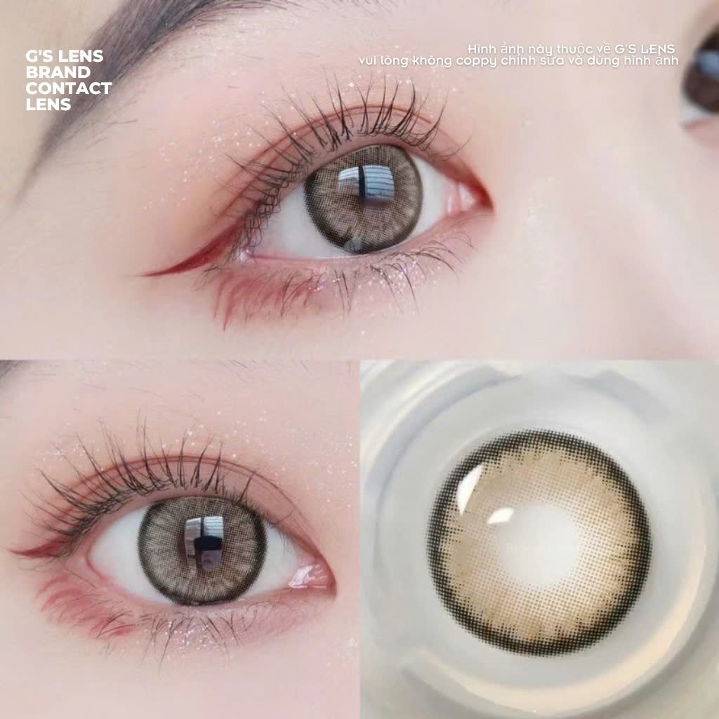 Kính áp tròng 6 tháng DAYANE BROWN màu nâu sáng tây giãn tròng nhỏ GTRENDY - MC38