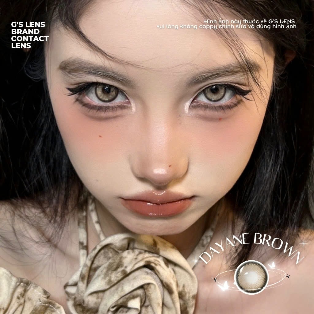 Kính áp tròng 6 tháng DAYANE BROWN màu nâu sáng tây giãn tròng nhỏ GTRENDY - MC38