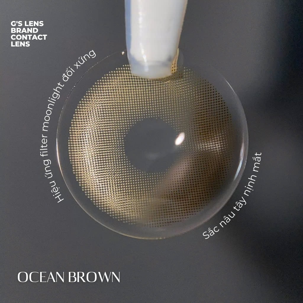 Kính áp tròng 6 tháng OCEAN BROWN màu nâu sáng tây giãn tròng nhỏ GTRENDY - MCK1