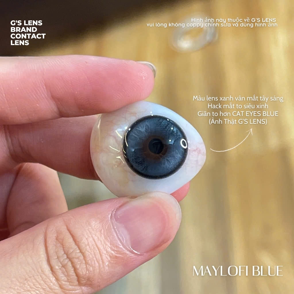 Kính áp tròng 6 tháng MAYLOFI BLUE màu xanh dương sáng tây giãn tròng vừa GTRENDY - MC38