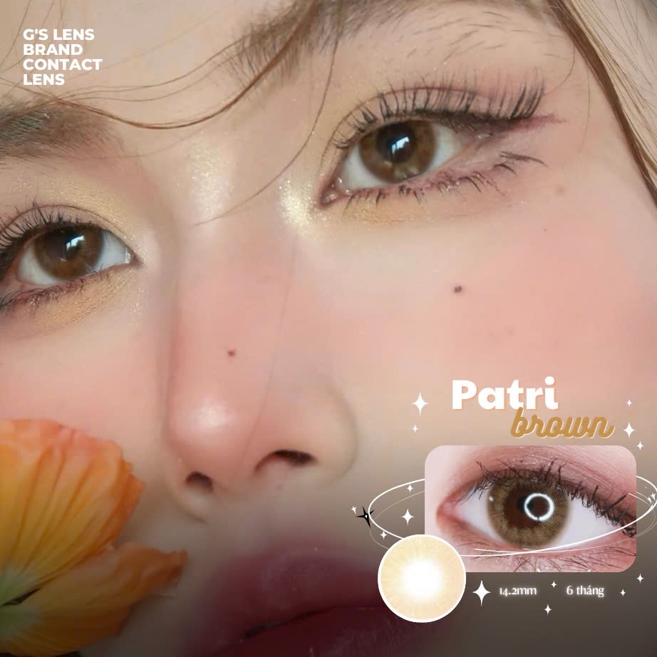 Kính áp tròng 6 tháng PATRI BROWN màu nâu tự nhiên không giãn tròng GTRENDY - MC38