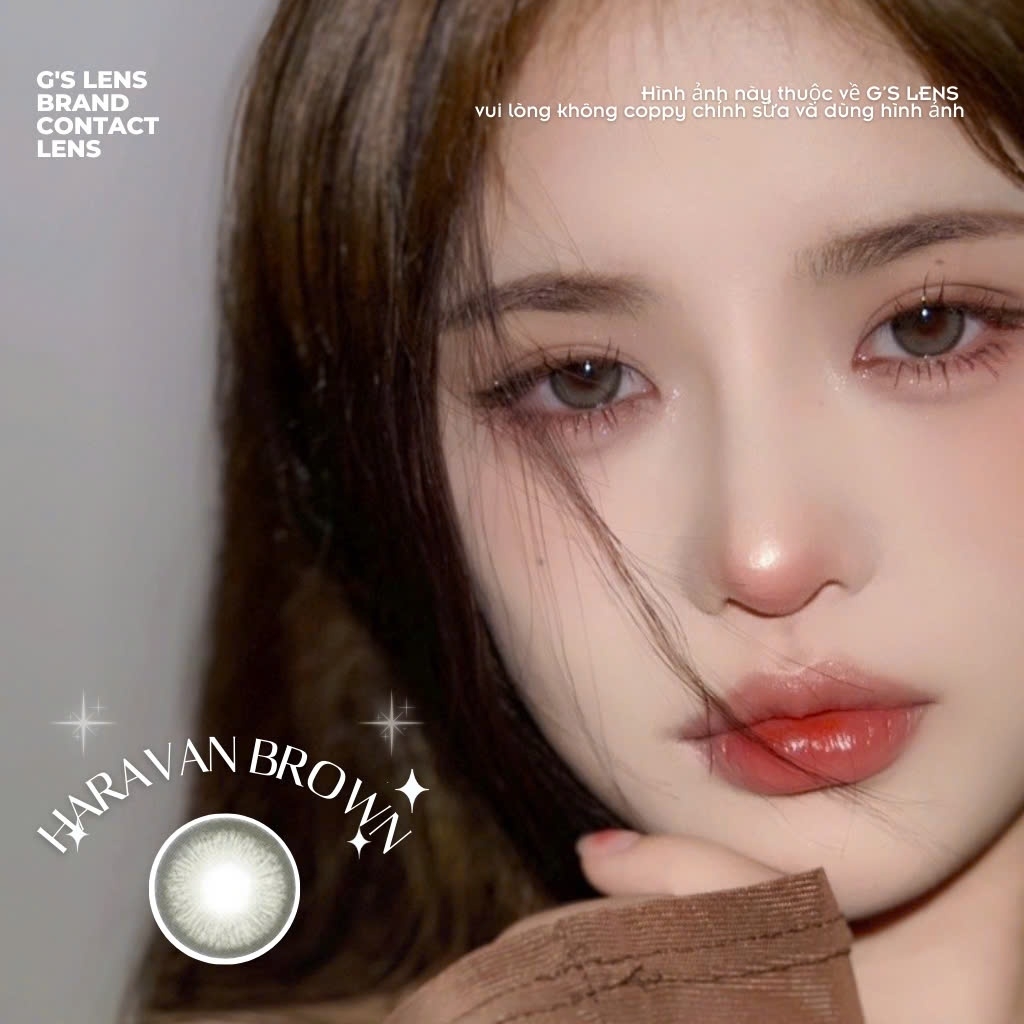Kính áp tròng 6 tháng HARAVAN BROWN màu nâu rêu tự nhiên giãn tròng nhỏ GTRENDY - MC38